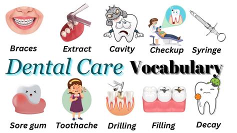 bunot in english dental term|Vocabulary Essential For Talking About Dental Care.